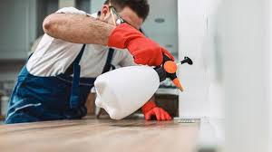 Best Termite Inspection and Treatment  in Bloomingdale, IL